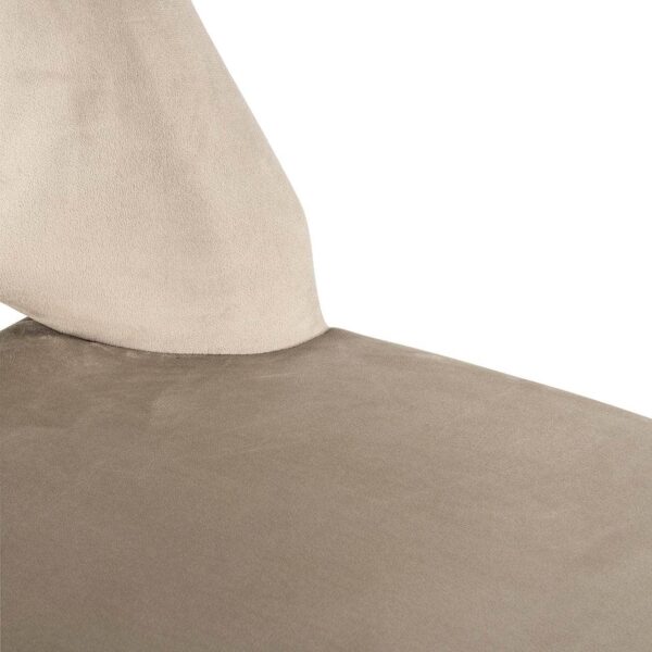 Tabitha Dining Chair - Nature - Image 6